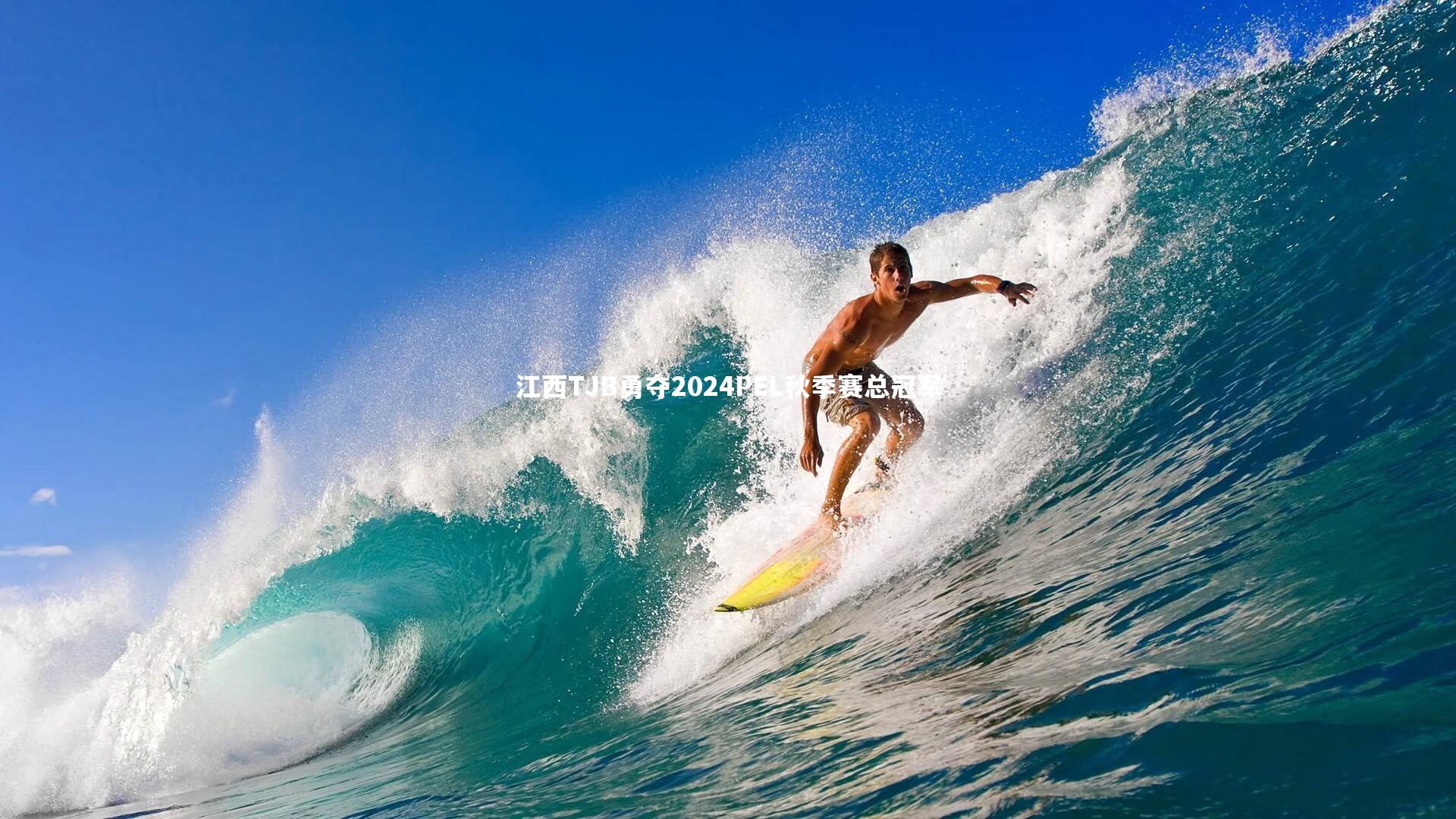 江西TJB勇夺2024PEL秋季赛总冠军