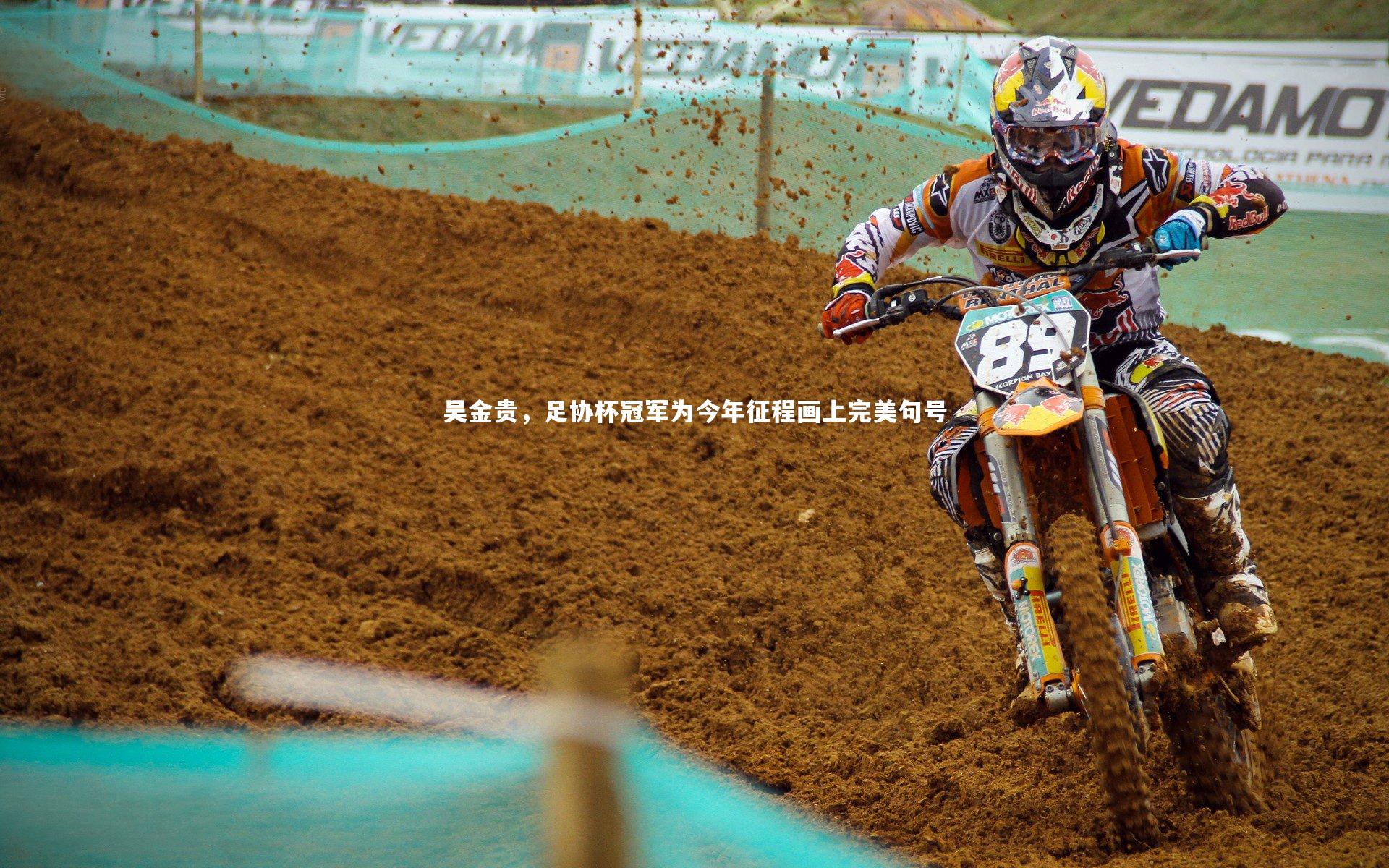 吴金贵,足协杯冠军为今年征程画上完美句号