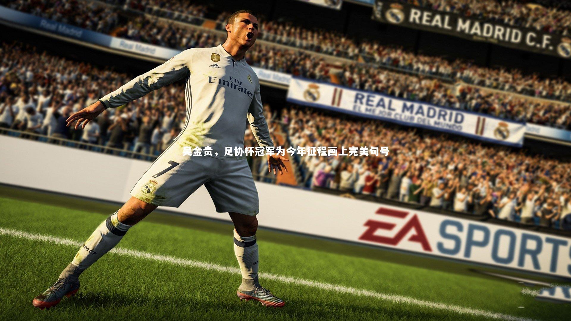 吴金贵,足协杯冠军为今年征程画上完美句号