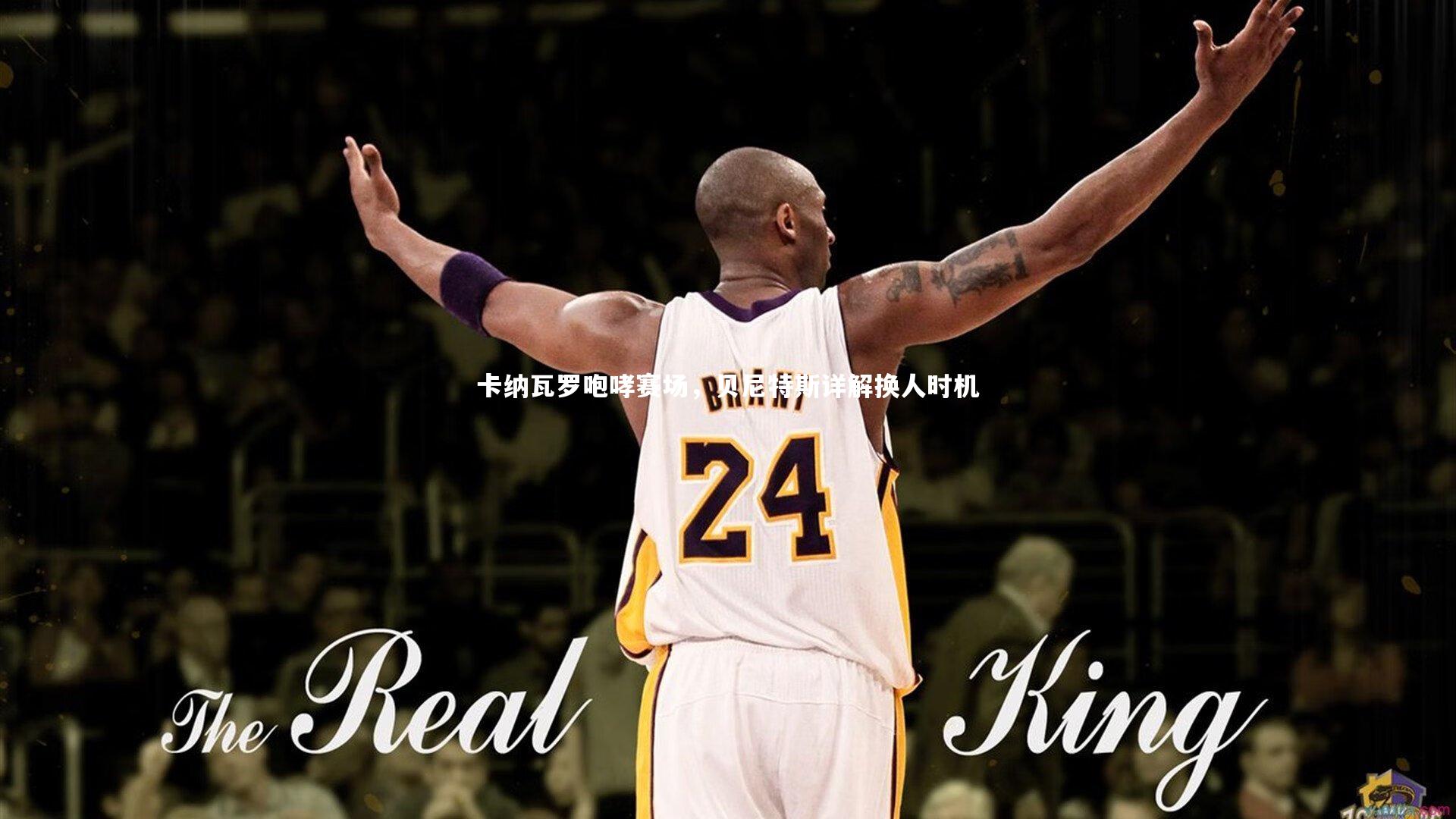 卡纳瓦罗咆哮赛场,贝尼特斯详解换人时机